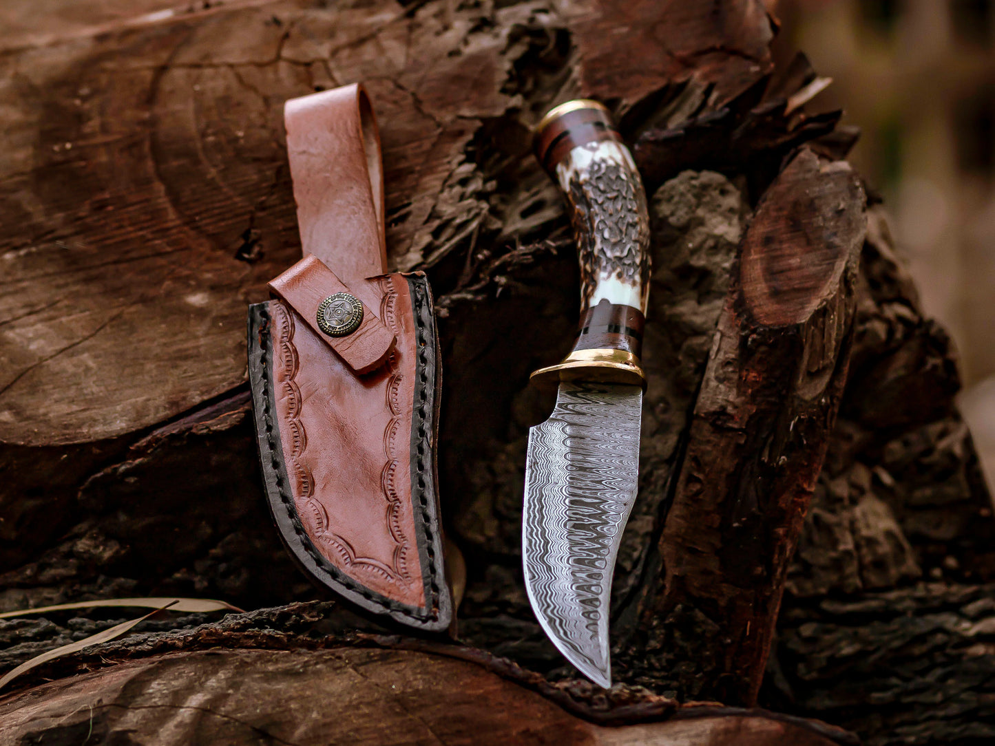 Hand-Forged Damascus Steel Knife Stag & Brass Handle
