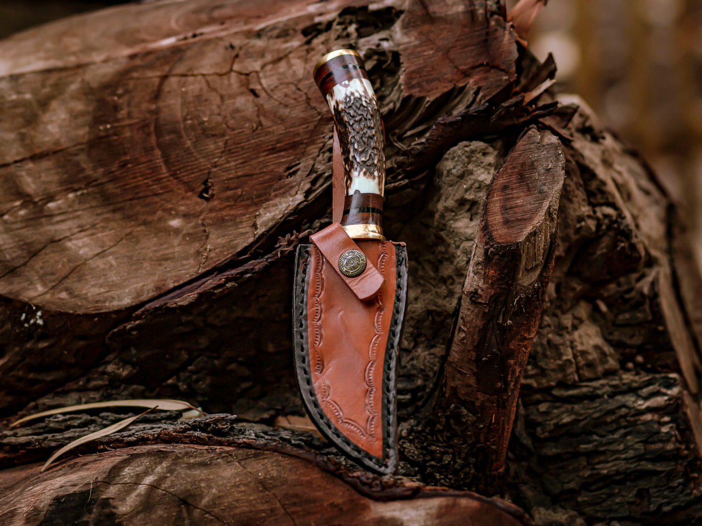 Hand-Forged Damascus Steel Knife Stag & Brass Handle