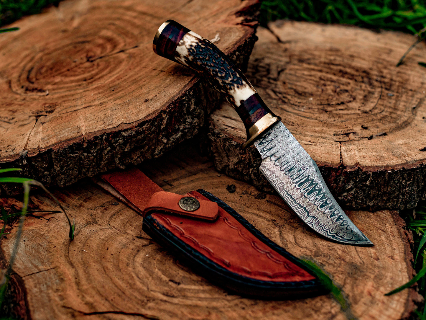 Hand-Forged Damascus Steel Knife Stag & Brass Handle